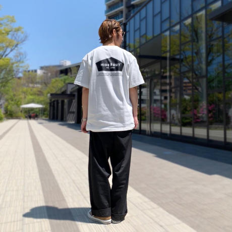 5ea30c5fbd21787f6a06c9e5