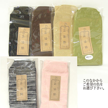 55e56a923cd482eebb00021e