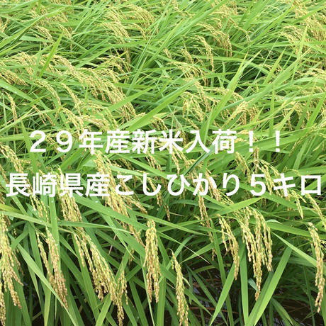 598d6bf73210d5736f000b0a