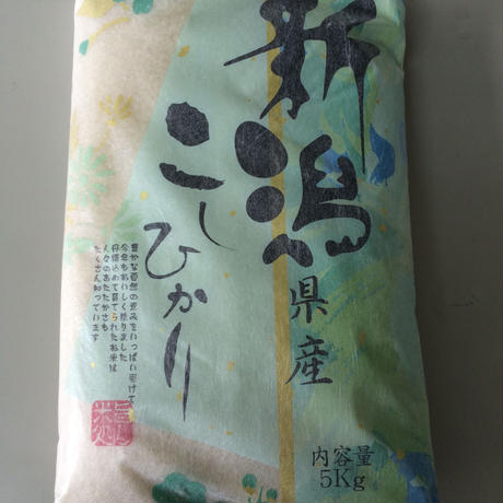 59a6658cc8f22c1241000026