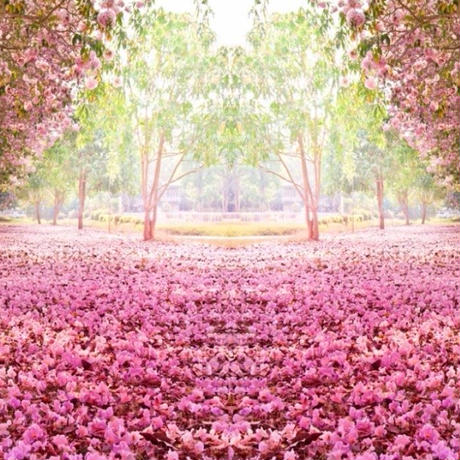 5c94f02e2c96c10d1ba036ae