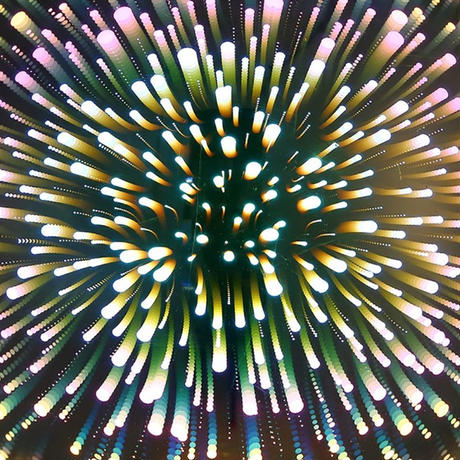 5c0845c4c49cf33aaeb3b377