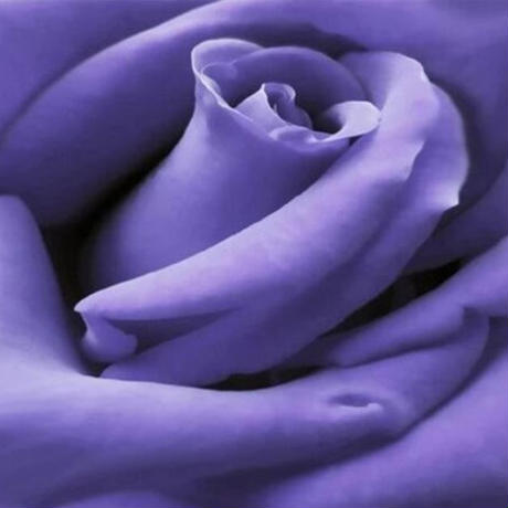 5f182ab0d7e1d8339f180010