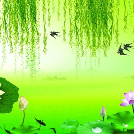 5c890cf5baa38938f8ab8c47