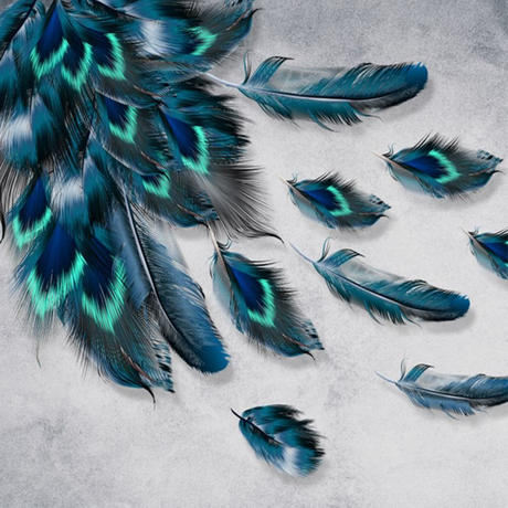 最新のhd壁紙 羽 おしゃれ 最高の壁紙コレクション