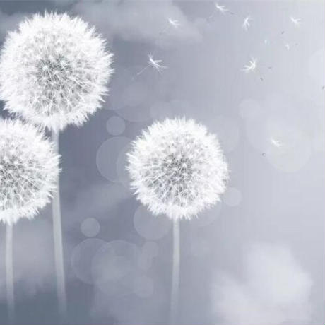 5f1455c6ea3c9d73e5508bb5