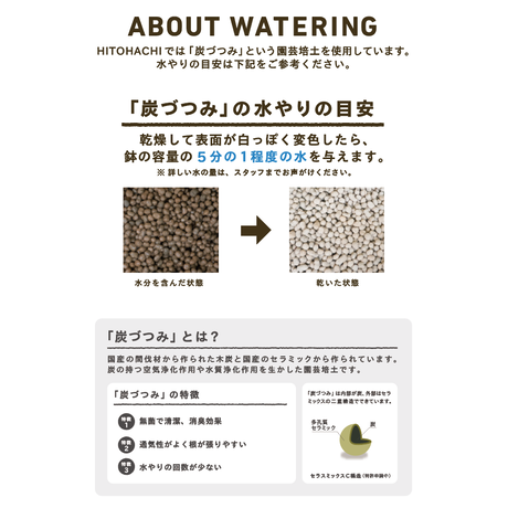 5adc8cf45496ff2f6700067f