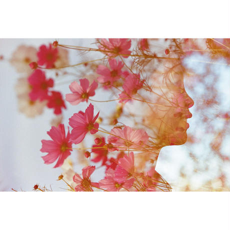 5d8b4703220e753a868f7233