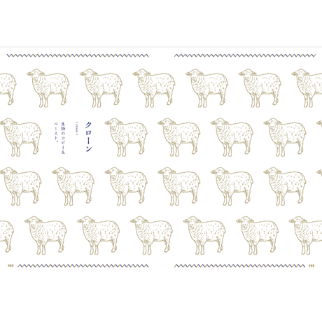 5d357b1b08382954fe248c88