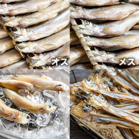 5f6c534493f6190b71d893db