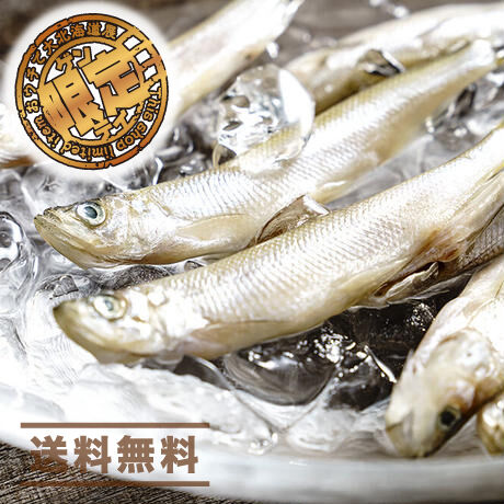 5f6c561a07e1630629c9b2f1