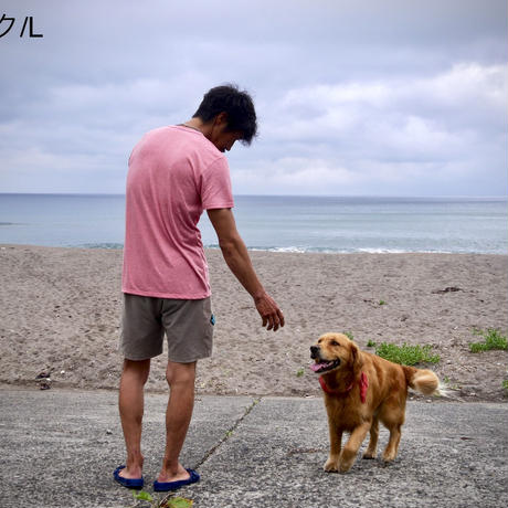 5d189f2f1bc6e87a38801751