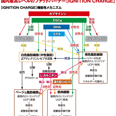 5d60dfcbbf1a877c31762f6b