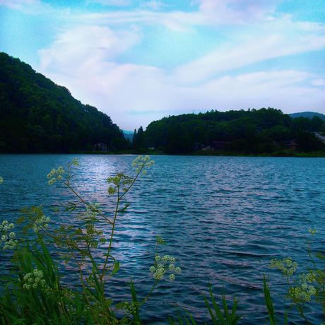 5b0403b0122a7d6ed6000286