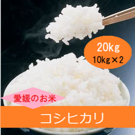 5a78059d3210d507d6000df5