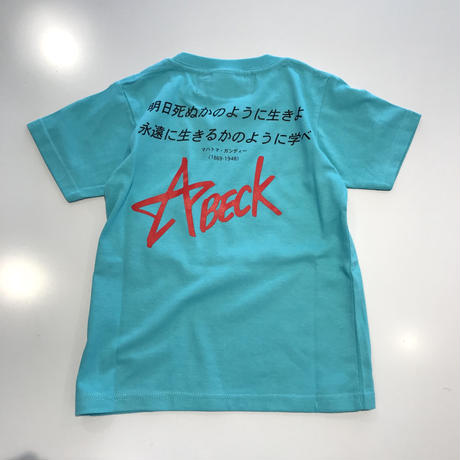 5ae1a30f434c724f270005be