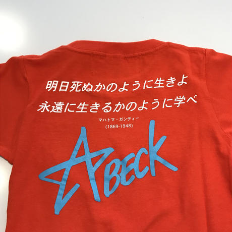 5ae1a336ef843f3cb40004b0