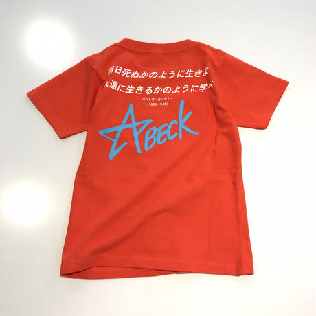 5ae1a336ef843f3cb40004b0