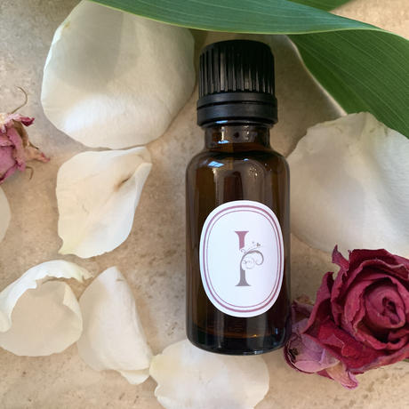 エネルギー高い Stores