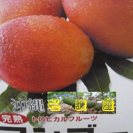 5928e64e428f2d734c010853