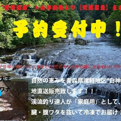 5729b3279821cc267500d1b1