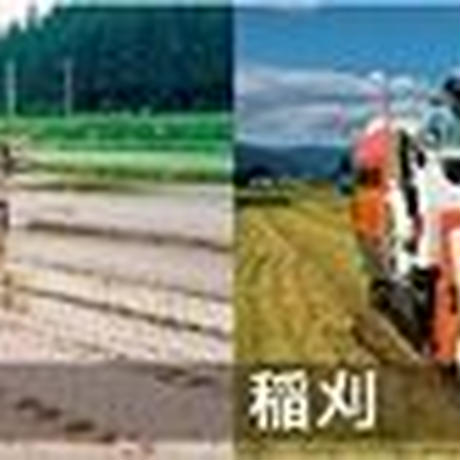 573ebe2841f8e8ab1a001464