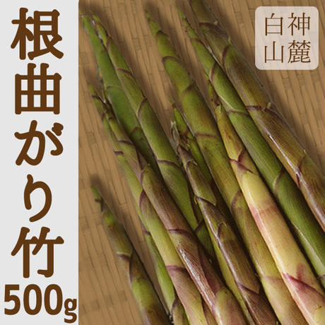 572acc6aa458c0f20b0119b6