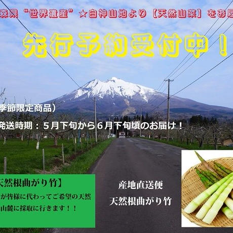 572aff2e00d331599b005ec1