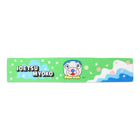 56e79dc8bfe24cbd3e0022b1