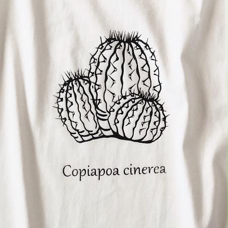 5cfb4c765aa93854065009d4