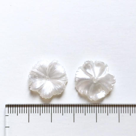 5c47d1fdc3976c52a88d7c2e