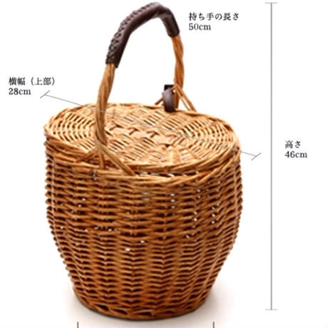 5a44738a3210d52ce10002fb