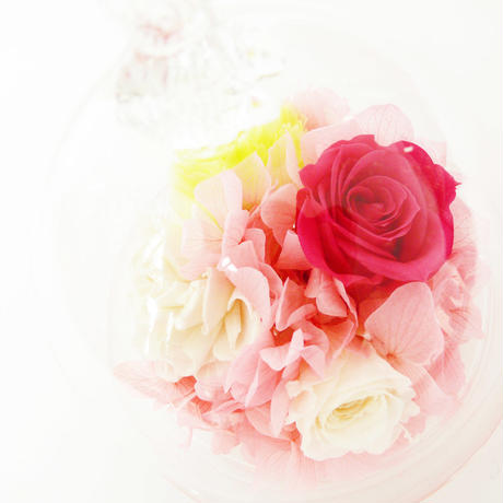 57d6e5599821cc40560017b6
