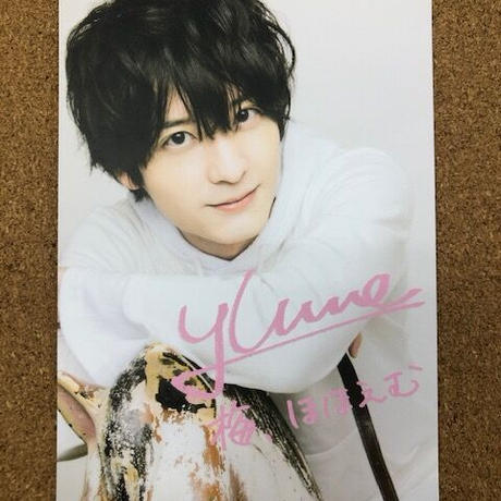 梅原裕一郎 ポストカード パンフレット River Holidays De