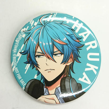 ARGONAVIS アルゴナビス 二条遥 缶バッジ 10点