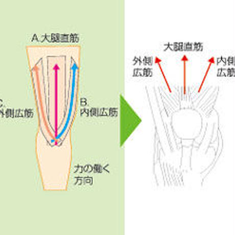 5155376ca95dcb551f000f46