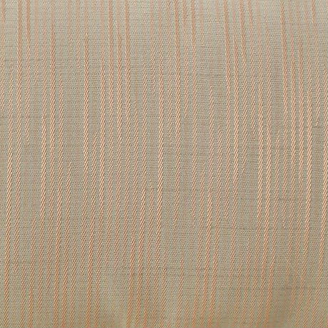 59095041b1b619e451005b10