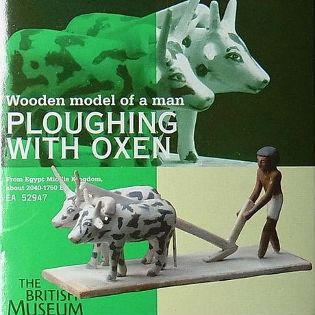 56fd278199c3cd046b001c69