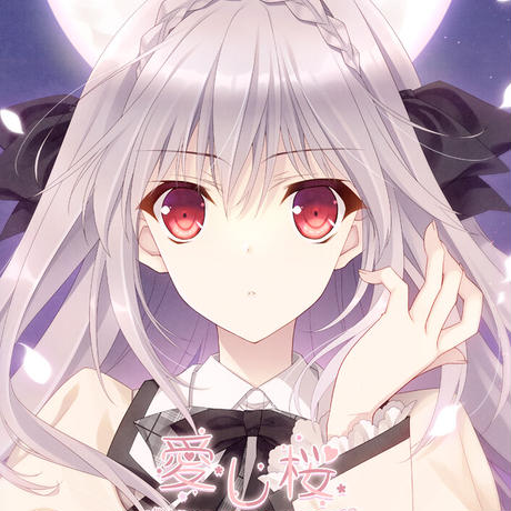 ルナ様用4点セット ルナ様