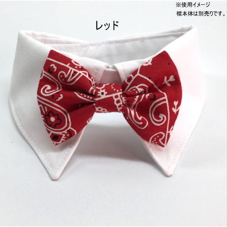 5881a91600d331cb8c000361
