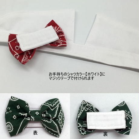 5881a91600d331cb8c000361