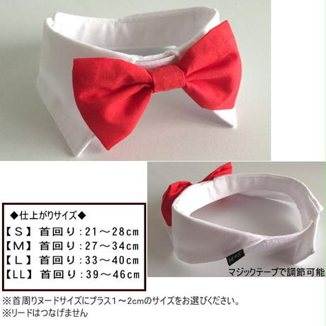 5881ace4c3b8df9205000550