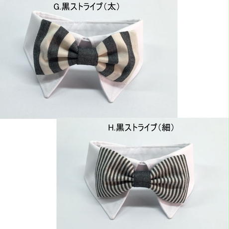 5881ace4c3b8df9205000550