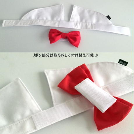 5881ace4c3b8df9205000550