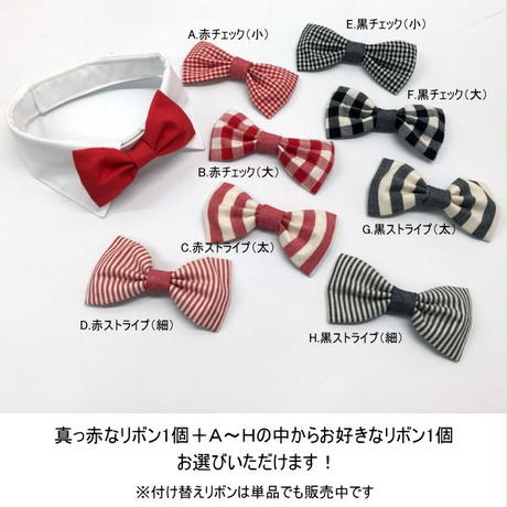 5881ace4c3b8df9205000550