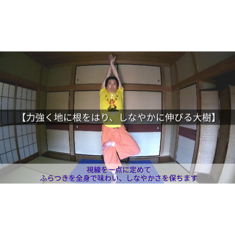 5d256e164c8064439632f5c1