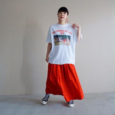 5c54264ae73a25488a0c74ce