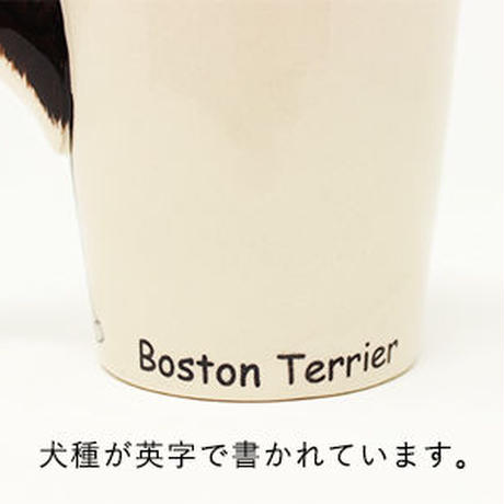 5d92a875745e6c0d6fcbacb1