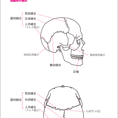 5b90e475e8db4137f300008d
