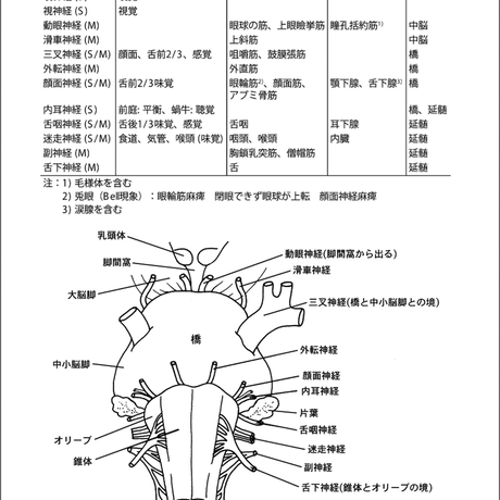 5b90e474e8db4137f300007f